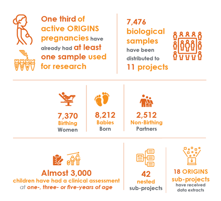 one third of active origins pregnancies have already had at least one sample used for research, 7,476 biological samplse have been distributed to 11 projects, 18 origins sub-projects have received data extracts, 7,370 birthing women, 8,212 babies born, 2,512 non-birthing partners, almost 3,000 children have had a clinical assessment at one, three, or five-years of age, 42 nested sub-projects